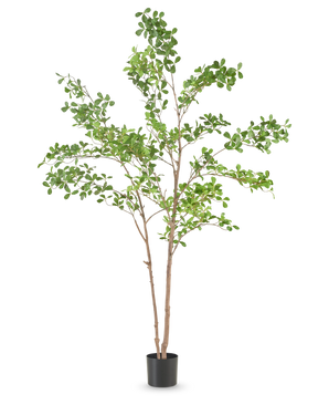 Kunstplanten Terminalia Catappa 150 cm er et højt kunstigt træ med slanke brune grene og grønne blade i en simpel sort potte, mod en almindelig hvid baggrund.