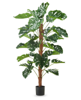 Den kunstige plante Monstera 150 cm er en høj kunstig plante med store grønne flækkede blade, vist i en lille sort potte på en almindelig hvid baggrund.