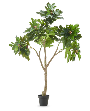 Den kunstige plante Ficus Carica figentræ 210 cm har flere grene, frodige grønne blade og flere umodne figner mod en almindelig hvid baggrund.