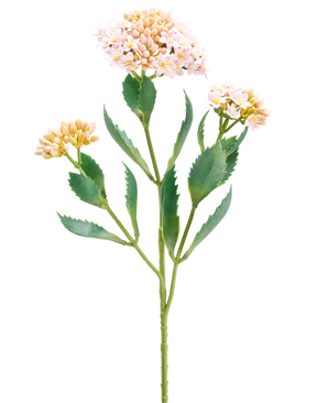 Den kunstige blomst Kalanchoe 47 cm pink har en enkelt grøn stilk med tre bundter af små, lyserøde og ferskenfarvede blomster og aflange takkede grønne blade, isoleret på en hvid baggrund.