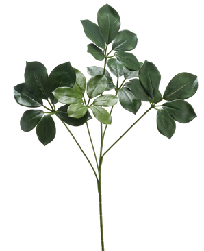 Den kunstige gren Schefflera 50 cm FR har en enkelt stilk med flere bundter brede, mørkegrønne blade og nogle lysere grønne blade, mod en hvid baggrund.