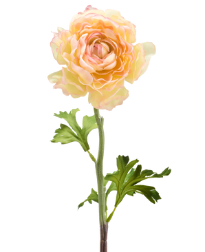 Den kunstige blomst Ranunculus 51 cm lakserød har en enkelt kunstig ranunkelblomst i bløde lakserosa toner med lagdelte kronblade og grønne blade på en lang stilk, mod en hvid baggrund.