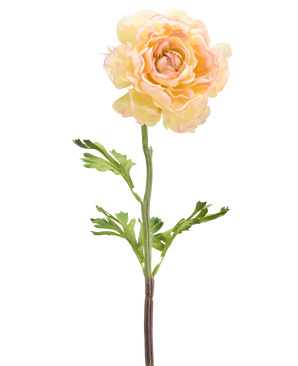En kunstig blomst Ranunculus 51 cm lys hvid: en enkelt bleg kunstig ranunculus blomst med lyse hvide kronblade, grønne blade og en lang stilk mod en hvid baggrund.