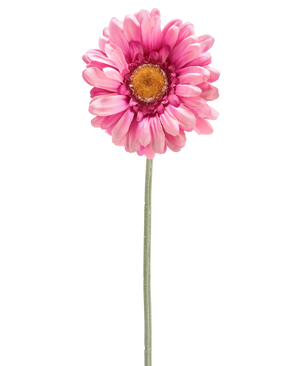 Artificial Flower Gerbera 53 cm mørk pink er en enkelt mørk pink kunstig tusindfryd med et gult hjerte på en lang grøn stilk, isoleret på en hvid baggrund.