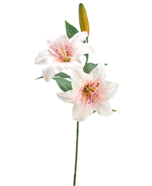 Den kunstige blomsterlilje 66 cm hvid/pink har en enkelt stilk med to åbne hvide og lyserøde liljer, en lukket gul knop og grønne blade, mod en almindelig hvid baggrund.