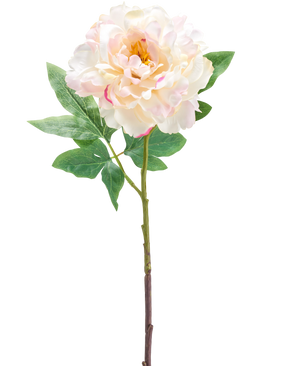 Artificial Flower Peony 61 cm cremen er en enkelt kunstig lys pink og cremet pæonblomst med grønne blade og en lang stilk, afbilledet mod en hvid baggrund.