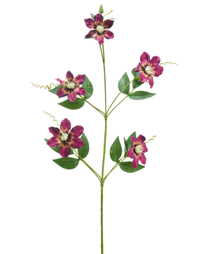 Den kunstige blomst Celematis 78 cm lilla har en enkelt grøn stilk med fem blomstrende lilla blomster, hver med spidse kronblade og et gult hjerte, omgivet af grønne blade og krøllede ranker, isoleret på en hvid baggrund.