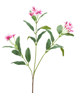 En kunstig Catharanthus blomst 68 cm i fuchsia/creme med lange, slanke grønne blade og klaser af fembladede blomster er vist mod en almindelig hvid baggrund.