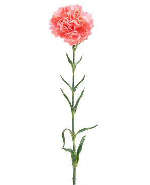 Artificial Flower Nellike 68 cm laksepink er en enkelt kunstig nellike med flæser af lakselyserøde kronblade, en lang grøn stilk og flere grønne blade, isoleret på en hvid baggrund.