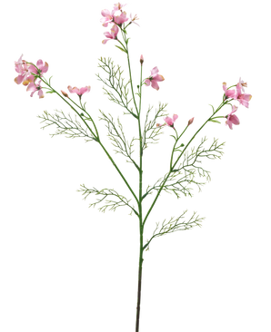 Artificial Flower Wild Delphinium 71 cm lys pink har en enkelt grøn stilk med fjeragtige blade og flere bundter af sarte lys pink blomster mod en almindelig hvid baggrund.