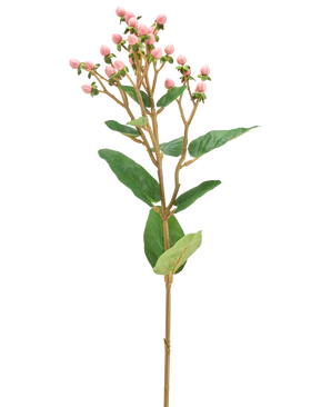 Artificial Flower Hypericum 65 cm pink har bundter af små lyserøde blomsterknopper og grønne blade på en lang, slank brun stilk, mod en almindelig hvid baggrund.