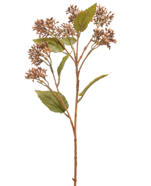Den kunstige blomst Sedum 67 cm brun har en enkelt brun og grøn kunstig plantestængel med bundter af små brune knopper og flere grønne blade, isoleret på en hvid baggrund.