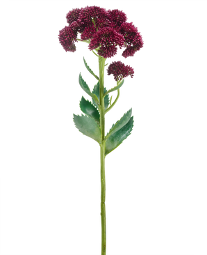En enkelt kunstig blomst Sedum 57 cm lilla har en lang grøn stilk med klaser af små mørkelilla blomster og grønne blade, isoleret på en hvid baggrund.