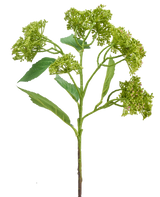 En kunstig blomsterhortensia 56 cm grøn/rød med en grøn stilk med bundter af kompakte grønne knopper og aflange blade, afbildet på hvid baggrund.