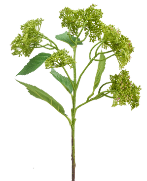 En kunstig blomsterhortensia 56 cm grøn/rød med en grøn stilk med bundter af kompakte grønne knopper og aflange blade, afbildet på hvid baggrund.