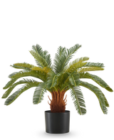 Den kunstige plante Cycas UV 60 cm har lange, buede grønne blade og en tyk, brun stilk med tekstur i en sort potte, mod en hvid baggrund.
