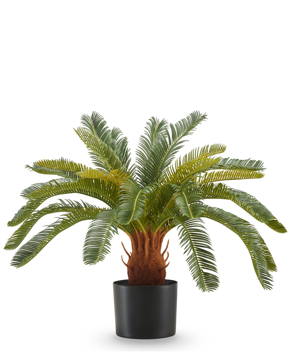 Den kunstige plante Cycas UV 60 cm har lange, buede grønne blade og en tyk, brun stilk med tekstur i en sort potte, mod en hvid baggrund.
