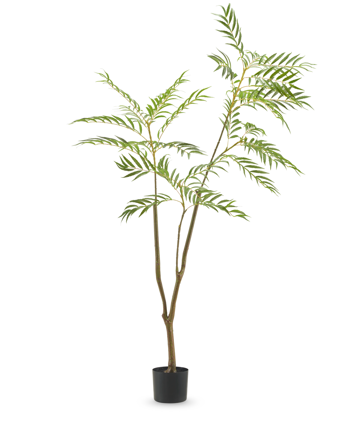 Den kunstige plante Mahonia 150 cm er et højt kunstigt træ i en potte med slanke brune stammer og lange, smalle grønne blade, afbildet mod en almindelig hvid baggrund.