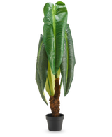 En høj kunstig plante Anthurium på 120 cm med store, blanke grønne blade og en brun stilk med struktur, præsenteret i en lille sort potte mod en hvid baggrund.