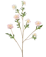 Den Kunstige Blomst Kornblomst 112 cm lys pink har en lang, tynd stilk med flere grene, hver med lys pink pæon-lignende blomster og grønne blade, mod en almindelig hvid baggrund.