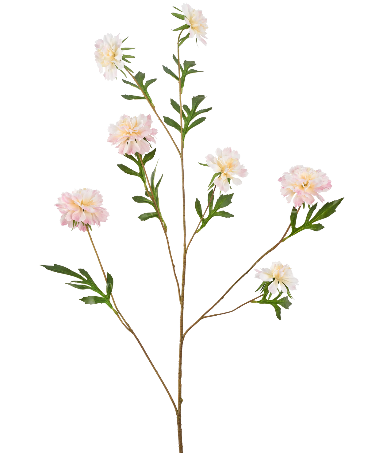 Den Kunstige Blomst Kornblomst 112 cm lys pink har en lang, tynd stilk med flere grene, hver med lys pink pæon-lignende blomster og grønne blade, mod en almindelig hvid baggrund.