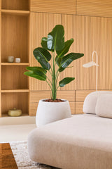 En kunstig Strelitzia plante 150 cm ægte touch2 med naturtro blade står ved siden af en moderne beige sofa i et rum med træpaneler og indbyggede hylder dekoreret med minimalistisk dekoration.