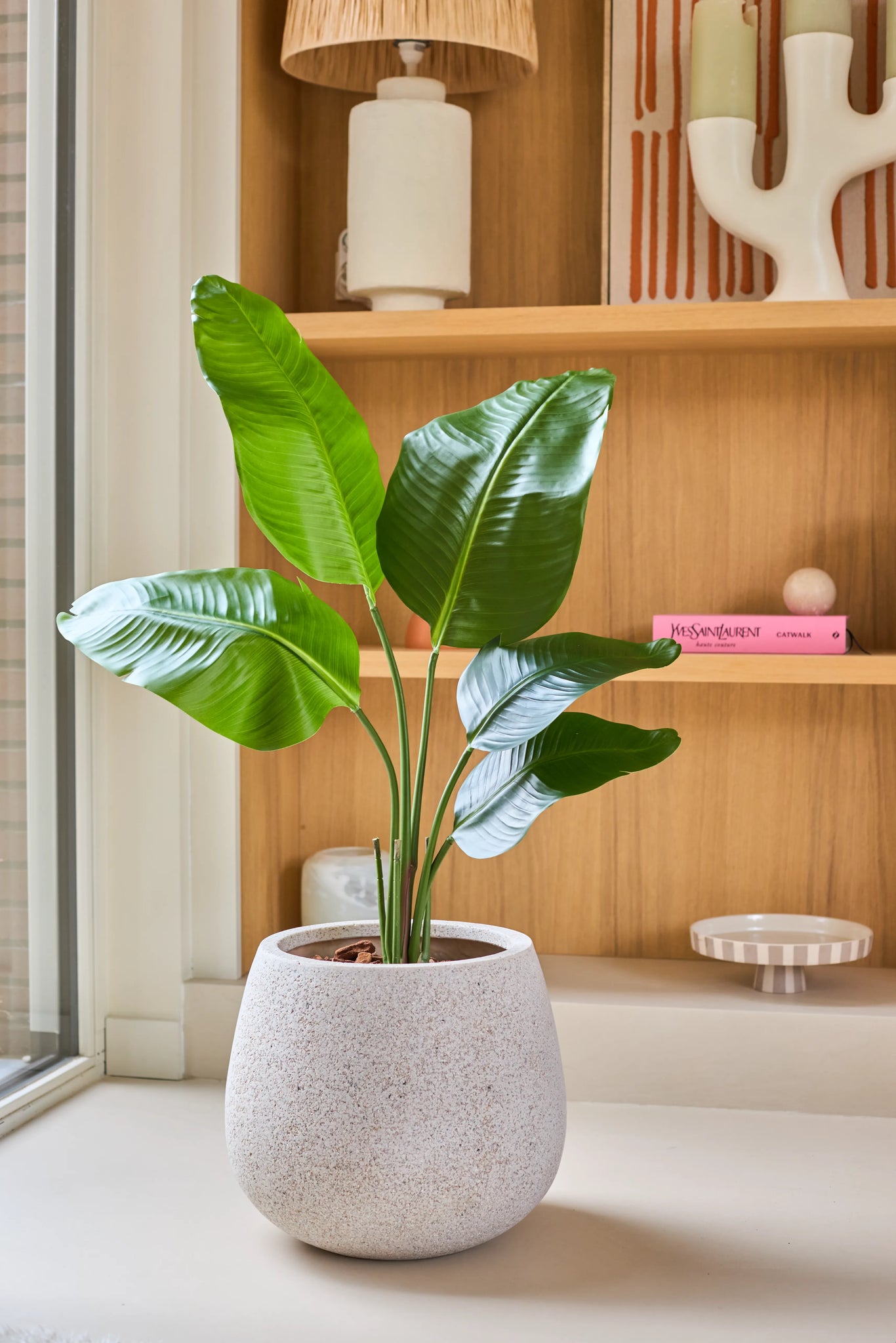 En 90 cm kunstig Strelitzia plante, med et naturtro udseende og store grønne blade, står i en vindueskarm foran træhylder dekoreret med bøger, keramik og små pyntegenstande.
