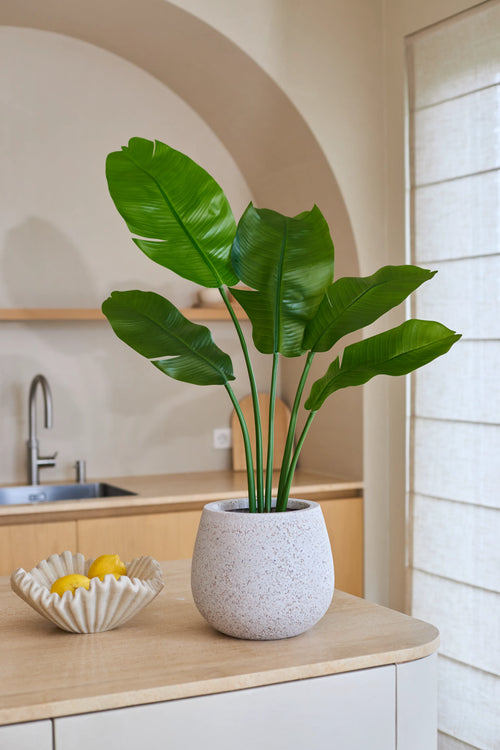 Kunstplanten Strelitzia Nicolai Deluxe 90 cm med sine store grønne blade står på en lys køkkenbord ved siden af en bølget skål fuld af gule citroner, som bringer en tropisk atmosfære ind i rummet. I baggrunden fuldender en vask og minimalistisk indretning billedet.