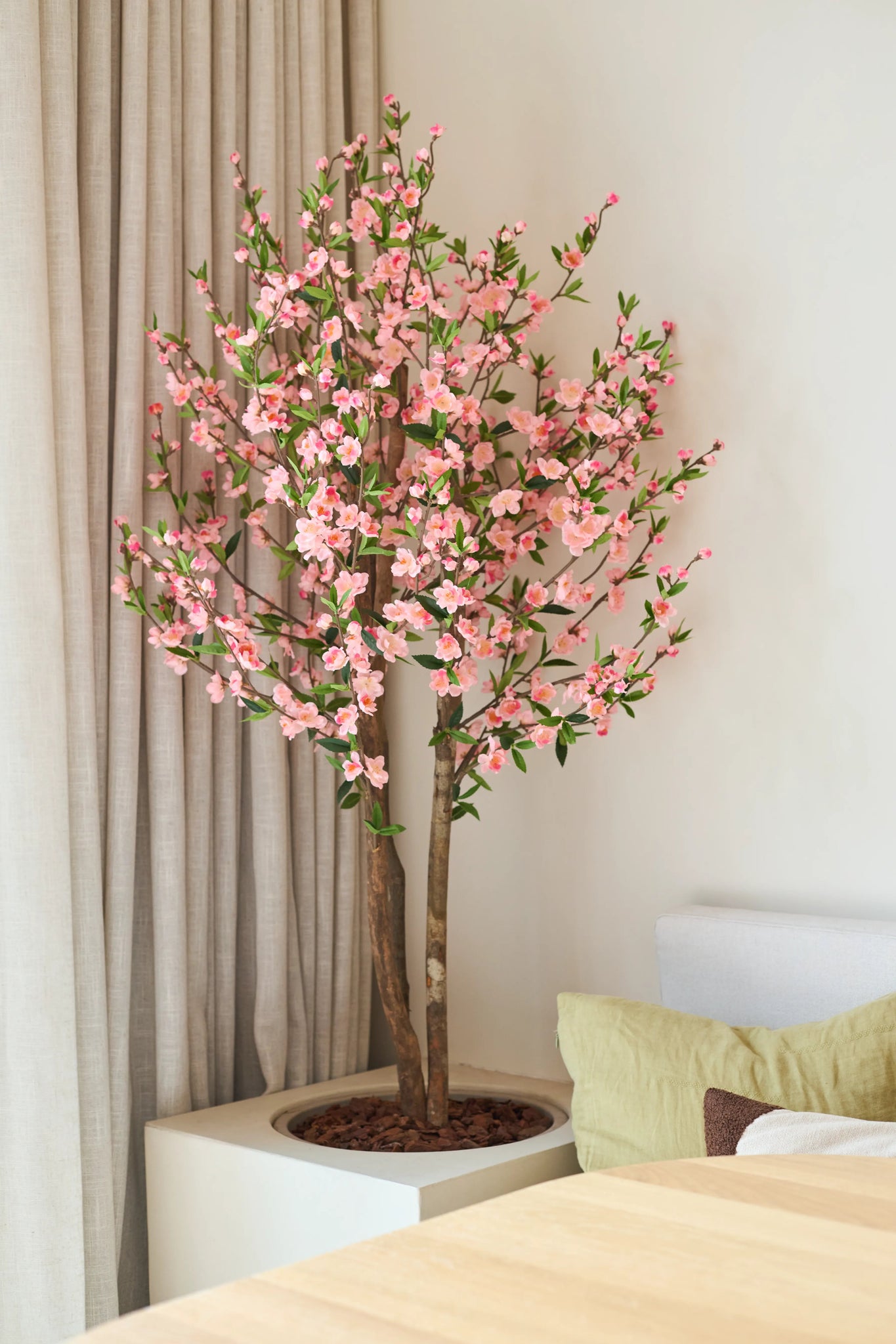Artificial Cherry Blossom Plant 120 cm pink, med sine lyserøde kirsebærblomster, står ved siden af et træbord i et lyst, moderne rum, med et beige gardin og en lys sofa bagved.