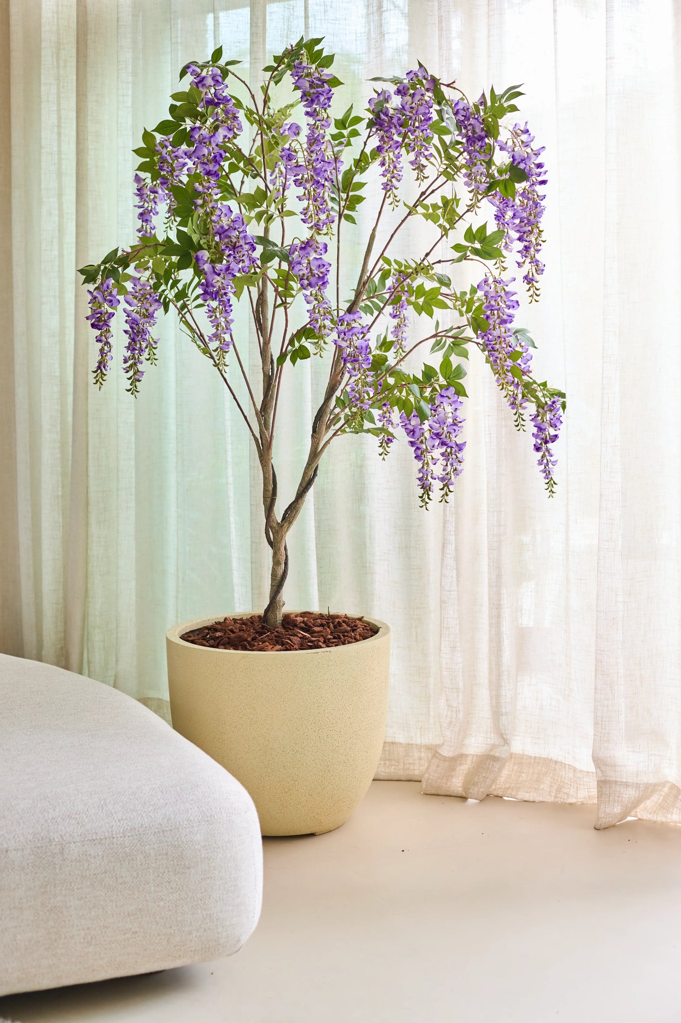 Den kunstige Wisteria 210 cm-plante, med sine overhængende bundter af lilla blomster, er placeret indendørs ved siden af gennemskinnelige beige gardiner og en lys sofa.