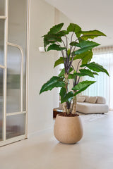 Den 240 cm kunstige Alocasia-plante med sine brede grønne blade står fremtrædende i en lys, moderne stue med en lys sofa, gennemsigtige gardiner og minimalistisk indretning.