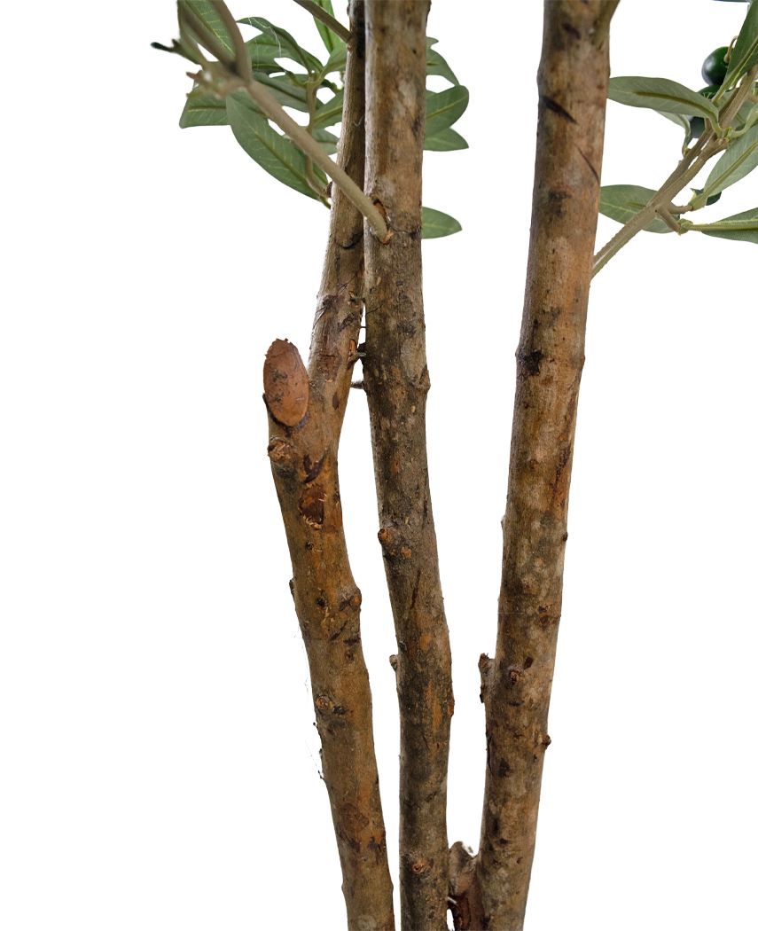 Kunstigt oliventræ 180 cm UV