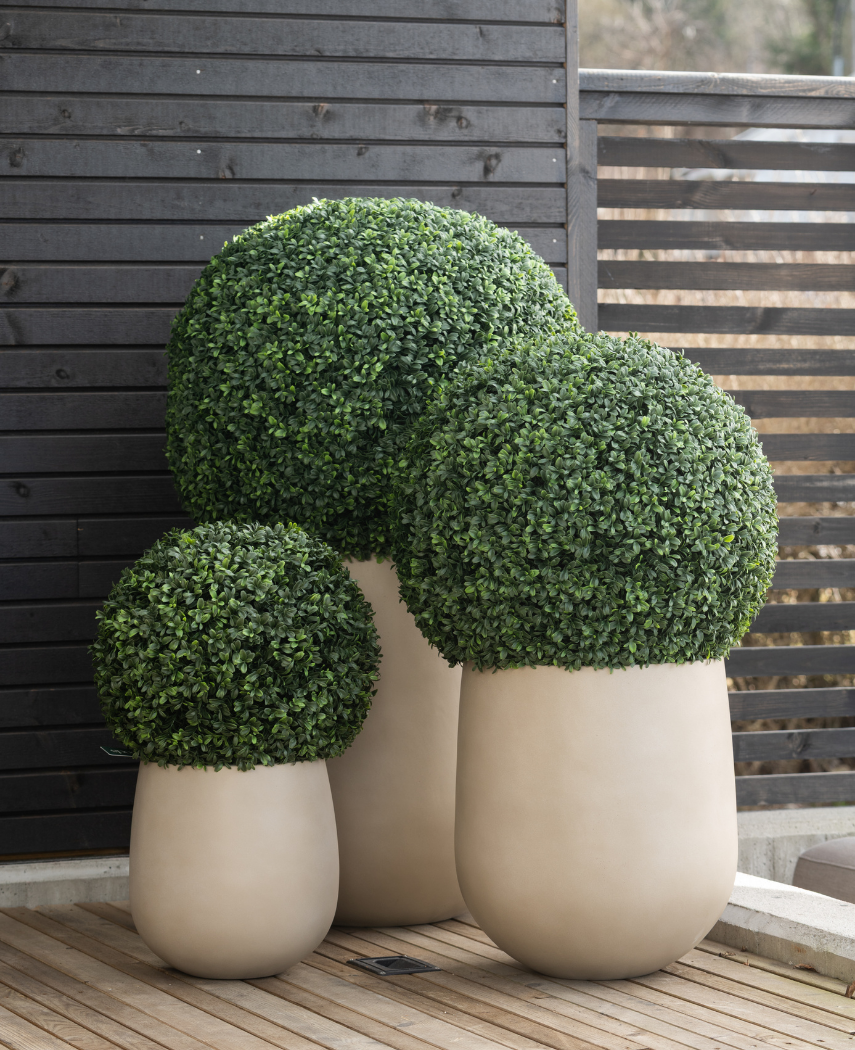 Tre kunstige buksbom romersk stil UV D40cm kunstige buske i store beige potter er på en træterrasse, mod et mørkt plankeværk med vandrette lameller.