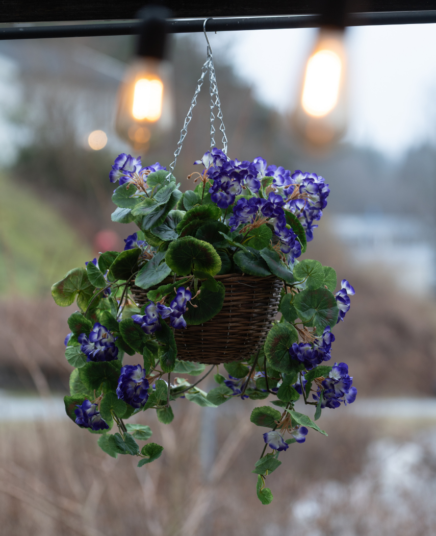 Artificial Begonia lilla i kurv UV 70cm er en hængende kurv med levende lilla kunstige Begonia med grønne blade, perfekt til udendørs. Arrangementet tilføjer farve og charme under varme pærer.