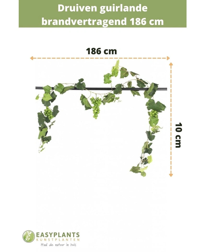 De Kunst Druiven guirlande brandvertragend 186 cm is 10 cm hoog, met groene bladeren en druiven. Ideaal als kunstplantdecoratie of brandvertragende slinger. Voorzien van Nederlandse tekst en Easyplants Kunstplanten logo onderaan.