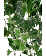 Nærbillede af Artificial Ivy 70 cm grøn/hvid med grønne blade og hvidrandede kanter, med vægt på tæt kunstigt løv og naturligt udseende bladmønstre på lys baggrund.
