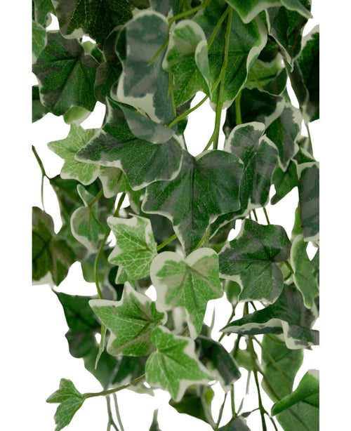 Nærbillede af Artificial Ivy 70 cm grøn/hvid med grønne blade og hvidrandede kanter, med vægt på tæt kunstigt løv og naturligt udseende bladmønstre på lys baggrund.