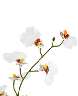 Et nærbillede af Artificial Oncidium Real Touch 48 cm hvid viser de sarte hvide orkidéblomster med gule og brune centre mod en almindelig hvid baggrund.