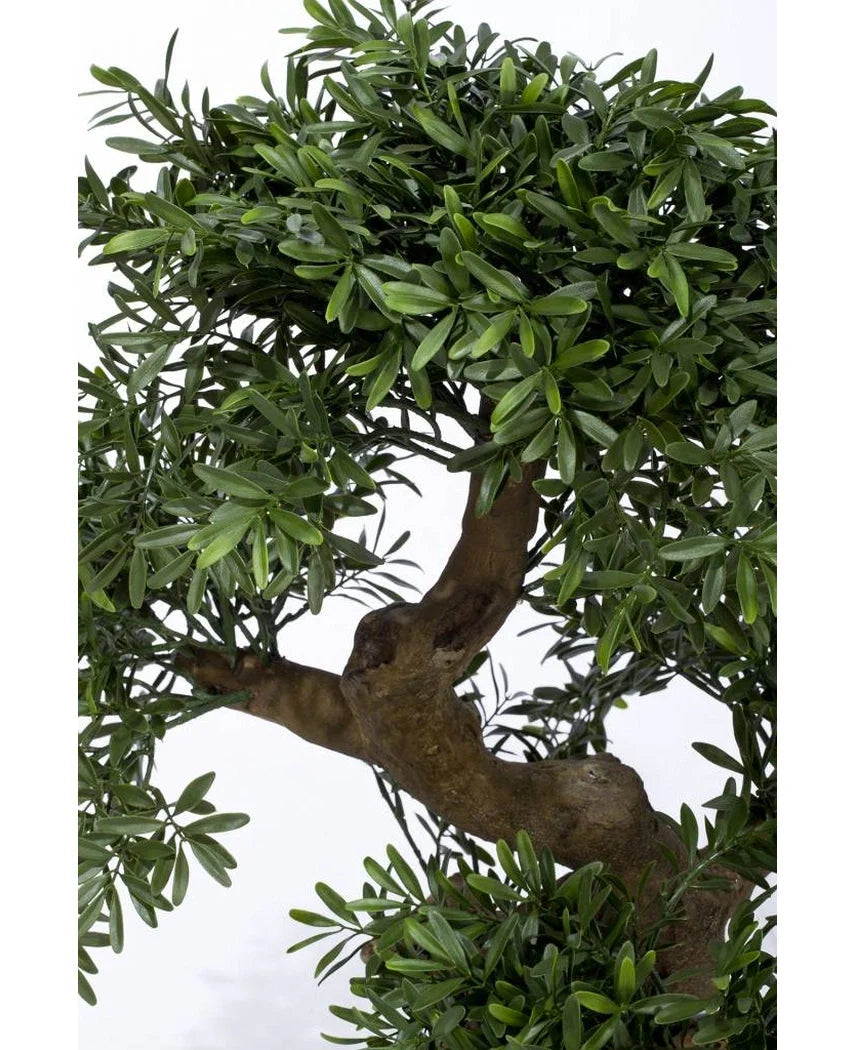 Close-up van Kunst bonsai boompje 70 cm in pot, met een dikke, gedraaide stam en dicht donkergroen blad, elegant weergegeven tegen een effen witte achtergrond.