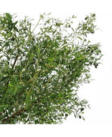 Det kunstige oliventræ 270 cm med oliven har smalle grønne blade og mørke oliven, hvilket gør det til den perfekte kunstige plante til at bringe et elegant oliventræ indendørs look til dit rum.
