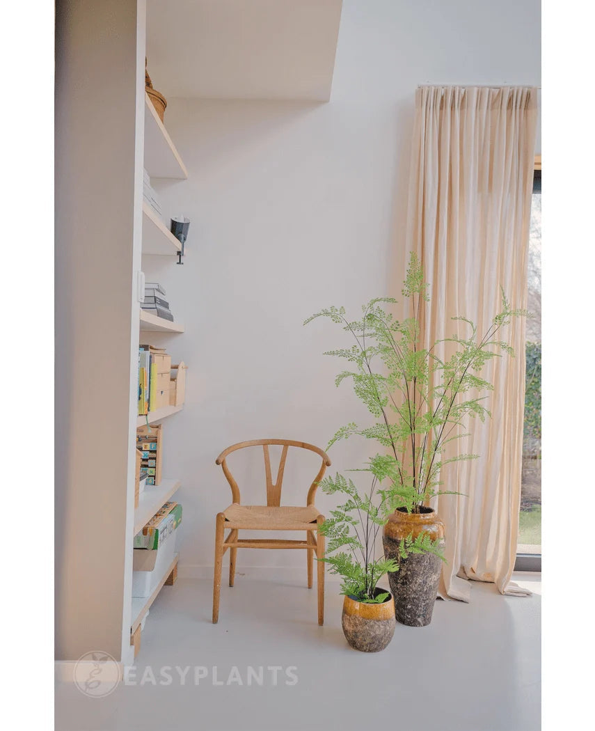 In een lichte kamer staan een houten stoel, een boekenkast en drie groene potplanten – waaronder de opvallende Kunst varen plant 120 cm – opgesteld bij een raam dat tot aan de vloer reikt en voorzien is van beige gordijnen. De ruimte straalt rust en minimalisme uit, perfect om prachtige kamerplanten of een elegante kunstplant zoals de Kunst-varen van 120 cm in te zetten.