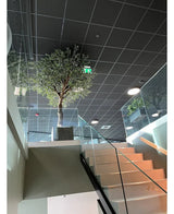 En moderne indvendig trappe med glasrækværk fører til en repos med det kunstige oliventræ med oliven (270 cm) i en stor potte, placeret under et gittermønsterloft, forsænket belysning og et synligt grønt nødudgangsskilt.