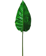 Et enkelt kunstigt blad Alocasia 76 cm kunstigt blad, levende grønt med fremtrædende årer og en glat overflade, fæstnet til en lang, tynd stilk, mod en almindelig hvid baggrund.