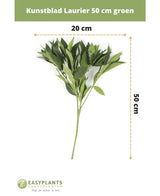 Kunstigt laurbærblad 50 cm grøn kunstig blomsterdekor, 50 cm høj og 20 cm bred, vist på hvid baggrund med mål. Perfekt til ethvert interiør. Easyplants logo i bunden.