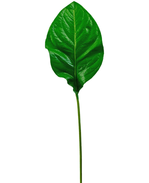The Artificial Green Leaf 90cm er et enkelt, blankt grønt kunstigt blad med fremtrædende årer og en lang, slank stilk, afbildet isoleret på en hvid baggrund.