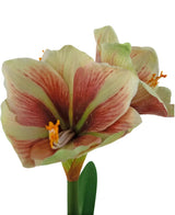 Et nærbillede af den kunstige blomst Amaryllis Real Touch Red/Yellow 48 cm viser de levende røde og gule kronblade, naturtro tekstur og grønne blade mod en hvid baggrund.