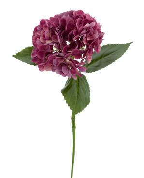 Den kunstige blomst Charlotte Hydrangea Real Touch lilla 55 cm har en enkelt stilk af en lilla hortensia med flere små kronblade og grønne blade, mod en almindelig hvid baggrund.