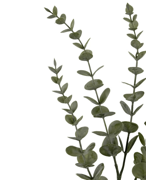 Tre kunstige blomster Eucalyptus Yugali stilke (71 cm) med runde grønne blade, arrangeret diagonalt på en hvid baggrund.