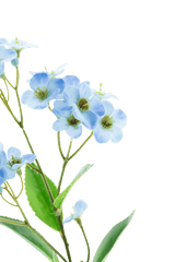 Et nærbillede af Artificial Flower Orchid Real Touch Blue 50 cm, med sarte lyseblå orkideer med et gulgrønt hjerte og grønne blade mod en almindelig hvid baggrund.