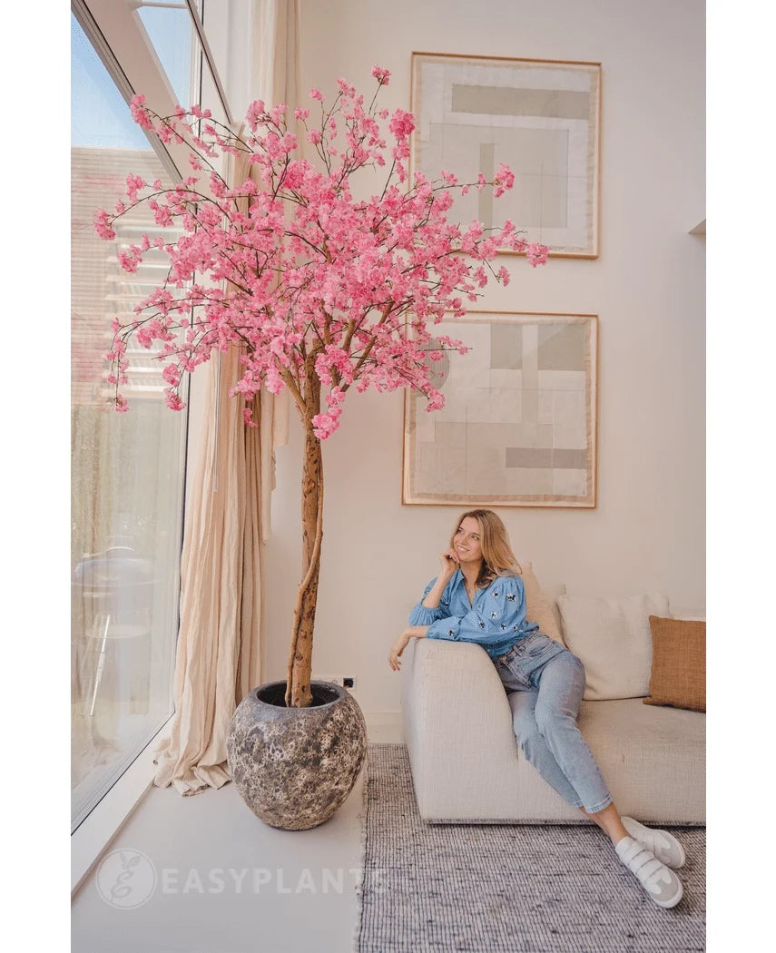 En kvinde i afslappet tøj slapper af på en beige sofa ved siden af et 240 cm kunstigt kirsebærblomstret lyserødt træ med lyserøde blomster, placeret i en moderne stue med abstrakt vægkunst og store vinduer.
